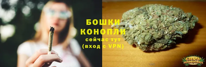 цена наркотик  Старая Купавна  Бошки Шишки Ganja 